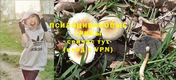 мдпв Баксан
