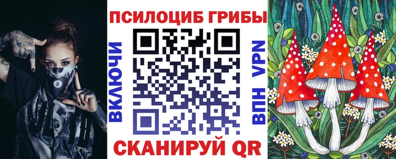Псилоцибиновые грибы GOLDEN TEACHER  наркошоп  Кубинка 